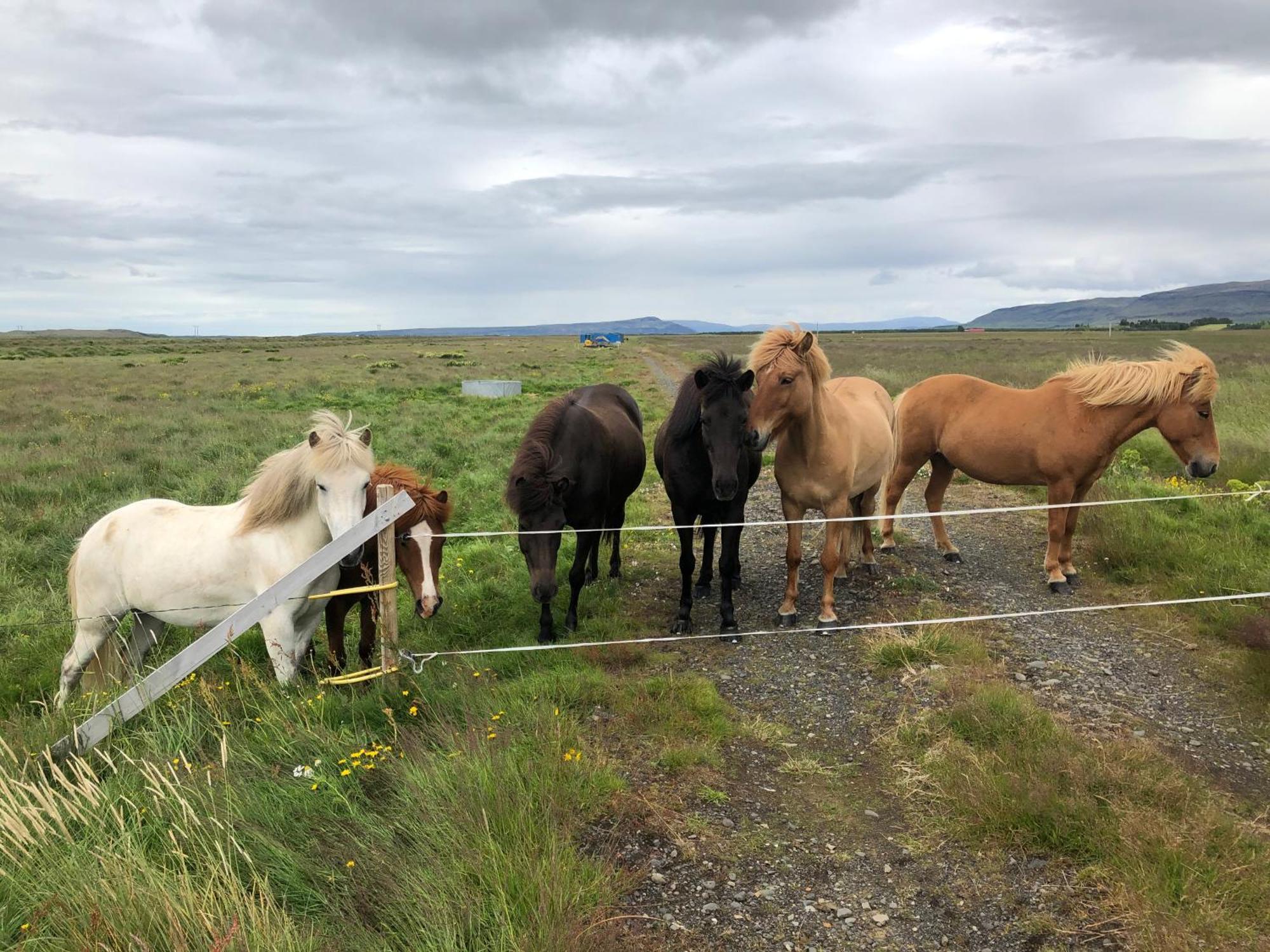 Villa Þrándarholt Hreppholar Esterno foto
